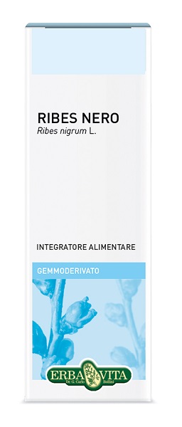 GEMMODERIVATO RIBES NERO 50 ML - Farmacia Dott. Pasquale Russo