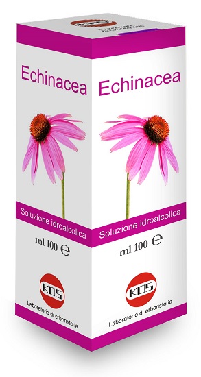 ECHINACEA SOLUZIONE IDROALCOLICA PIANTA FRESCA 100 ML - Farmacia Dott. Pasquale Russo