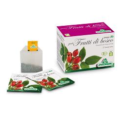 INFUSO BIO FRUTTA FRUTTI DI BOSCO 20 FILTRI - Farmacia Dott. Pasquale Russo