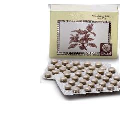 CIMICIFUGA 50 TAVOLETTE 500 MG - Farmacia Dott. Pasquale Russo