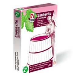 ENOLIEVITO CERVISIAE 100 G - Farmacia Dott. Pasquale Russo