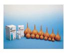 SCHIZZETTO GOMMA 14 545 ML - Farmacia Dott. Pasquale Russo