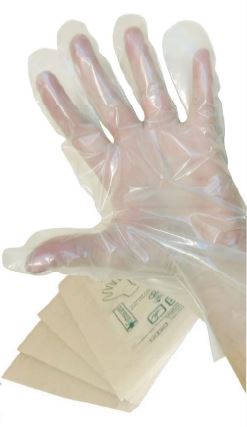 GUANTO IN POLIETILENE NON STERILE MISURA MEDIA. AMBIDESTRI, OMOGENEI, TRASPARENTI E PRIVI DI POLVERE LUBRIFICANTE. INDICATI PER USO OSTETRICO, GINECOLOGICO E UROLOGICO - Farmacia Dott. Pasquale Russo