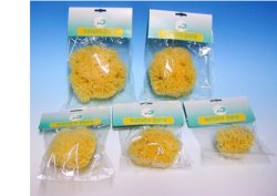 NATURA PURA SPUGNA NATURALE 16 BUSTE - Farmacia Dott. Pasquale Russo