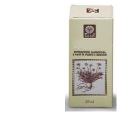 GINKGO BILOBA ESTRATTO ANALCOLICO 50 ML - Farmacia Dott. Pasquale Russo