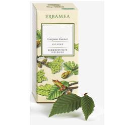 BETULA VERRUCOSA LINFA GEMMODERIVATO BIO 50 ML - Farmacia Dott. Pasquale Russo