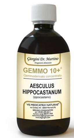 GEMOO 10+ GEMMODERIVATO CONCENTRATO IPPOCASTANO LIQUIDO ANALCOLICO AESCULUS HIPPOCASTANUM IPPOCASTANO 500 ML - Farmacia Dott. Pasquale Russo