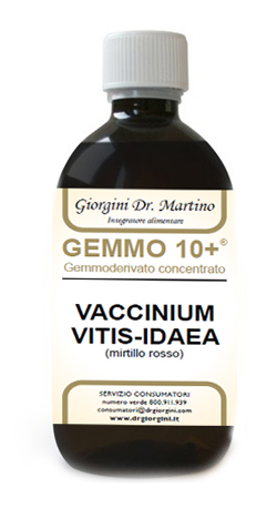 GEMMO 10+ MIRTILLO ROSSO LIQUIDO ANALCOLICO 500 ML - Farmacia Dott. Pasquale Russo