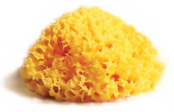 SPUGNA NATURALE MEDITERRANEA LABORATORI ATENEI 14 - Farmacia Dott. Pasquale Russo