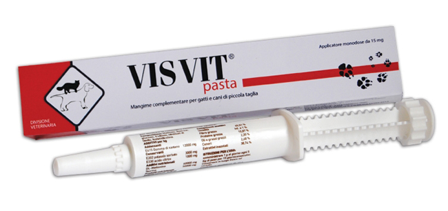 VISVIT PASTA OS SIRINGA 15 G - Farmacia Dott. Pasquale Russo