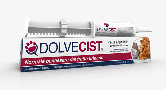 DOLVECIST PASTA SIRINGA 30 G - Farmacia Dott. Pasquale Russo