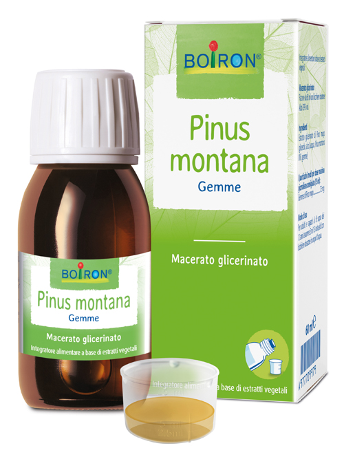 PINUS MONTANA BOIRON MACERATO GLICERICO 60 ML - Farmacia Dott. Pasquale Russo